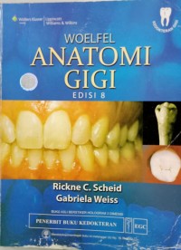 Image of Woelfel Anatomi Gigi