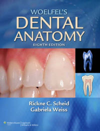 Image of WOELFEL'S DENTAL ANATOMY