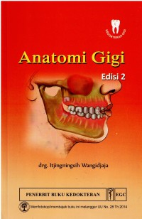 Image of Anatomi Gigi