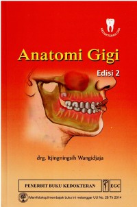 Image of Anatomi Gigi  (foto .copy)