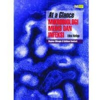 Image of At a Glance  : Mikrobiologi Medis Dan Infeksi