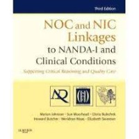 Image of NOC and Nic Linkages to NANDA-I and Clinical Conditions